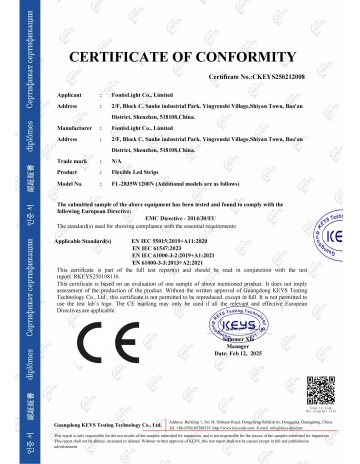 CE-Flexible led strips-2025