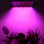 Full Spectrum Planted Grow Lamp