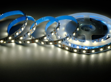 5050 Single Color LED Strip
